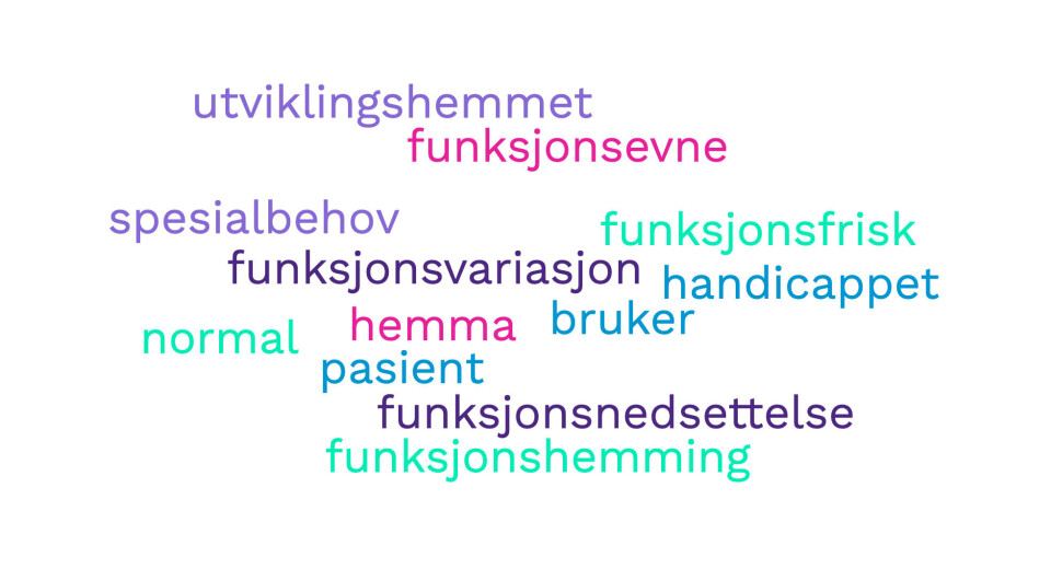 «Funksjonsnedsettelse, funksjonshemming eller funksjonshindret – hvilke ord skal vi egentlig bruke?»