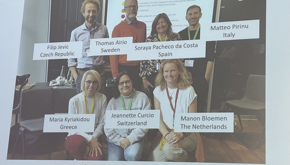 Det nyetablerte styret for Europeisk undergruppe i IOPTP.