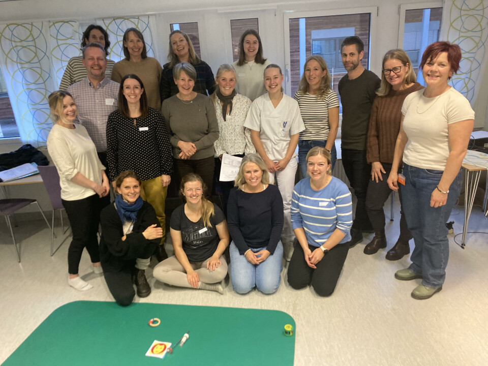 Deltaker e på HINE-workshop