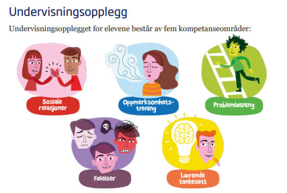 Skjermbilde fra Robust informasjonsbrosjyre